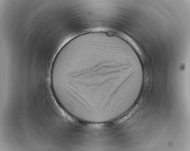 X0000098210810200805221626
