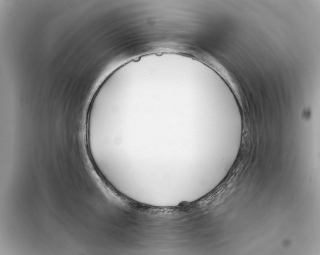 X0000098210811200805221626