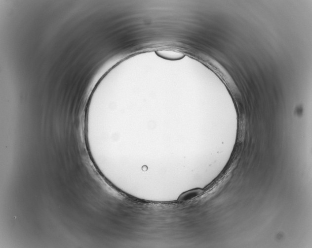 X0000098210812200805221626