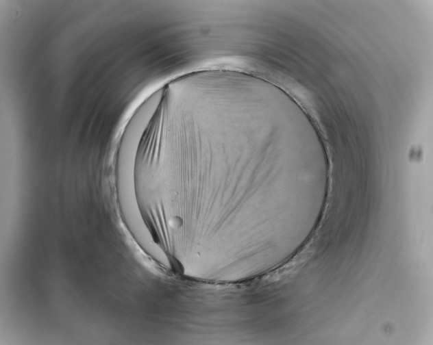 X0000098210816200805221626