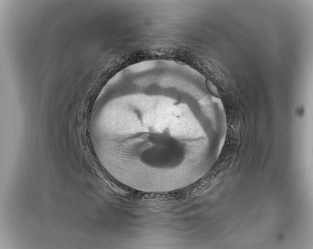 X0000098210817200805221625