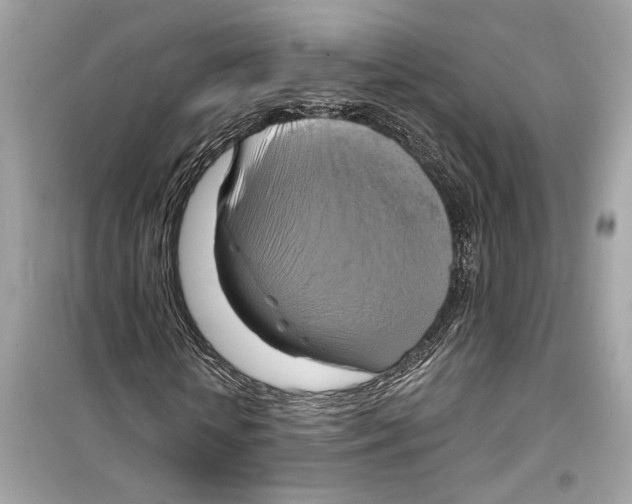 X0000098210818200805221625