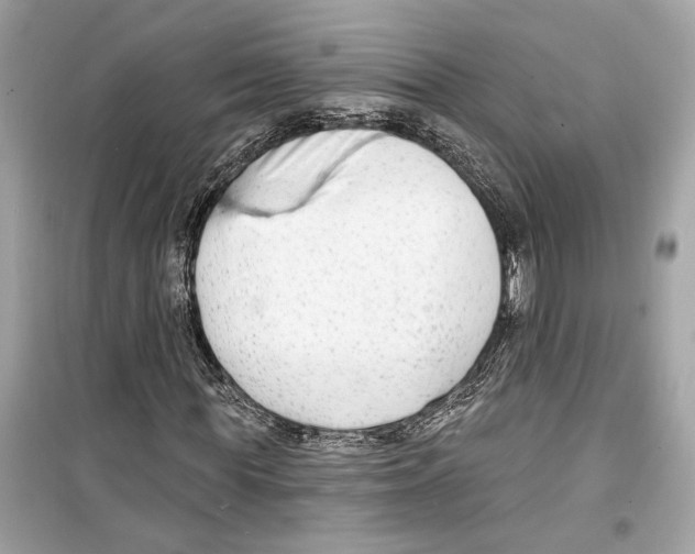 X0000098210819200805221625