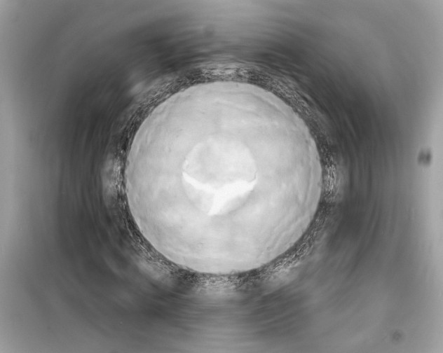 X0000098210820200805221625