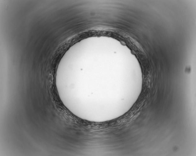 X0000098210821200805221625