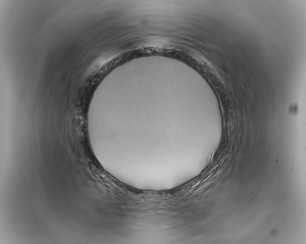 X0000098210822200805221625
