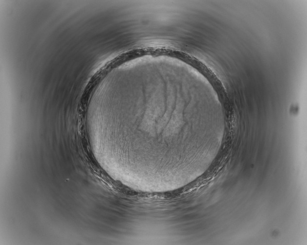 X0000098210823200805221625