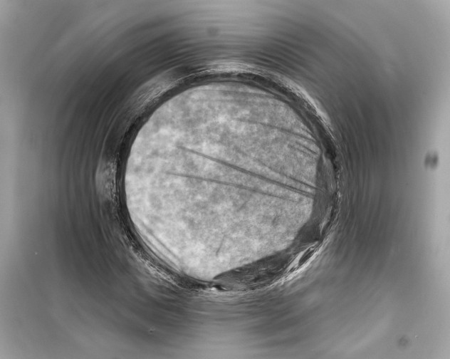 X0000098210825200805221625