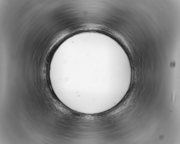 X0000098210827200805221625