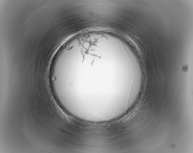 X0000098210828200805221625