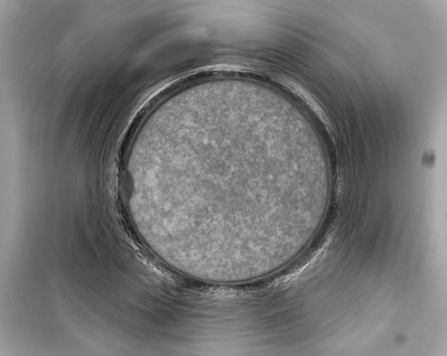 X0000098210829200805221625