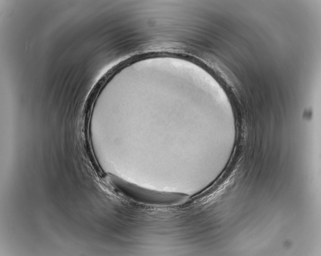 X0000098210830200805221625