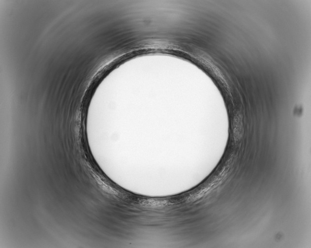 X0000098210831200805221625