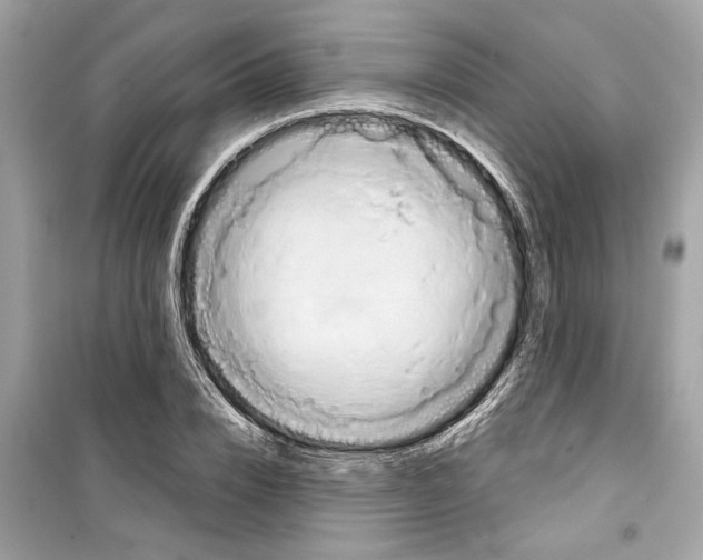 X0000098210832200805221625