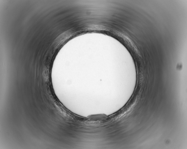 X0000098210833200805221625