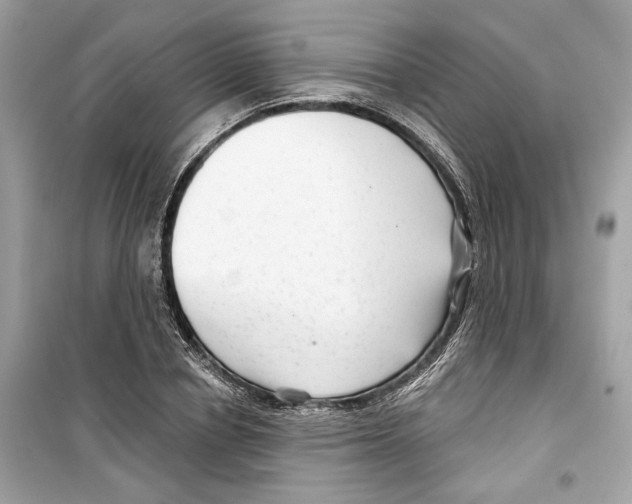 X0000098210834200805221625
