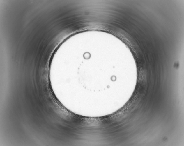 X0000098210836200805221625