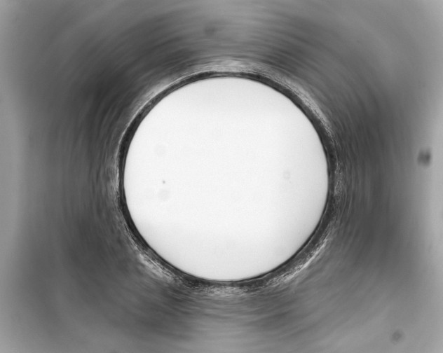 X0000098210837200805221625