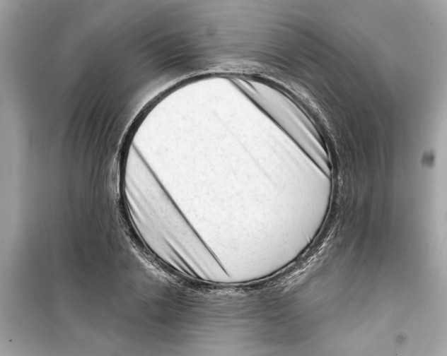 X0000098210838200805221625