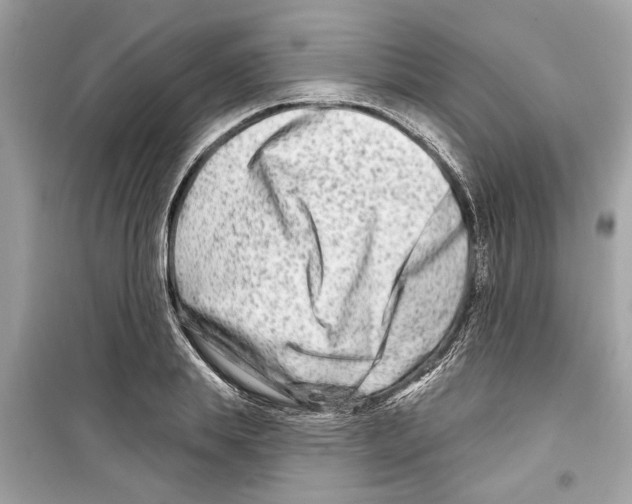 X0000098210839200805221625