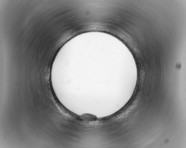 X0000098210841200805221625
