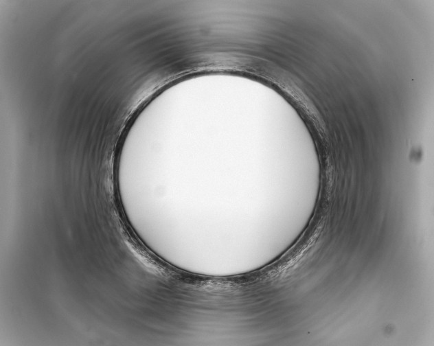 X0000098210842200805221625