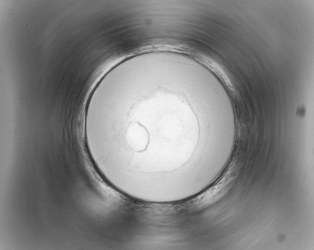X0000098210844200805221625