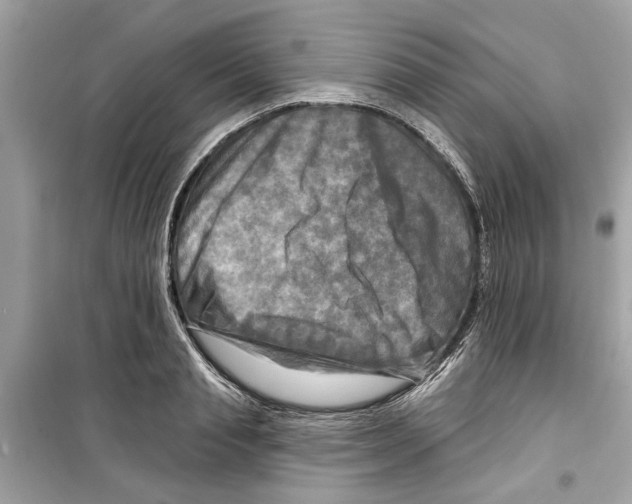 X0000098210845200805221625
