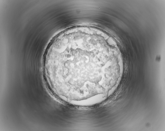 X0000098210848200805221625