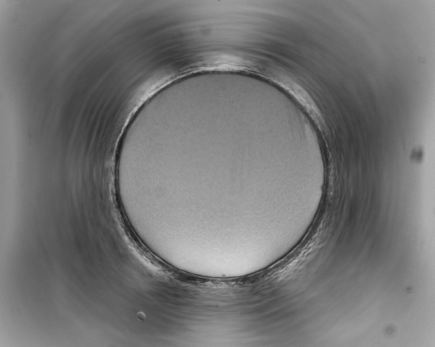 X0000098210850200805221625