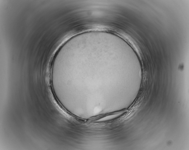 X0000098210851200805221625