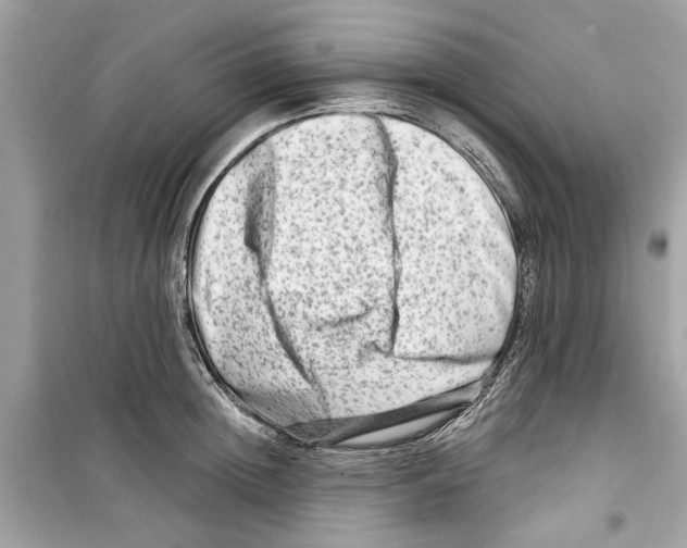 X0000098210852200805221625