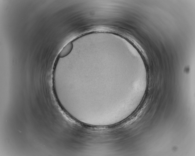 X0000098210853200805221625