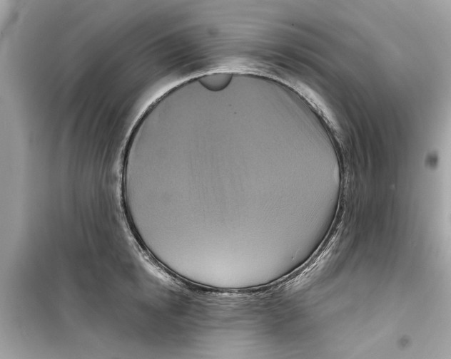 X0000098210854200805221625