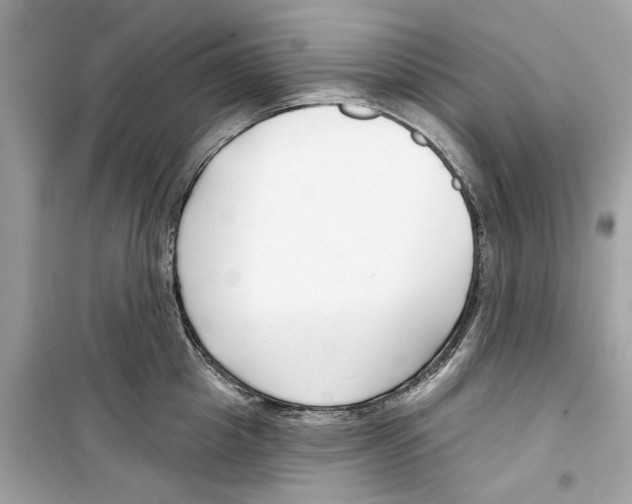 X0000098210857200805221625