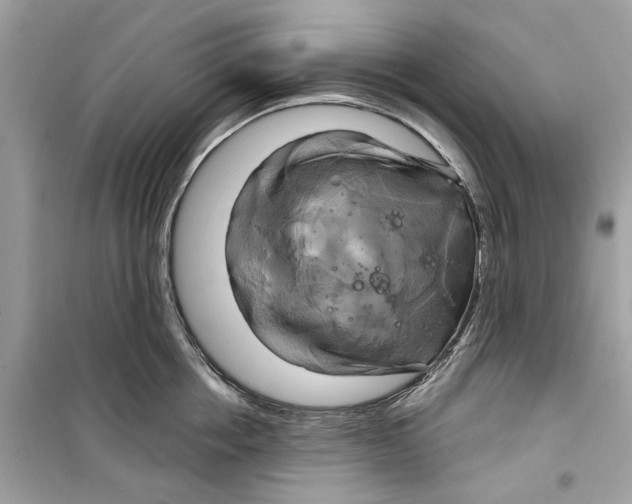 X0000098210858200805221625