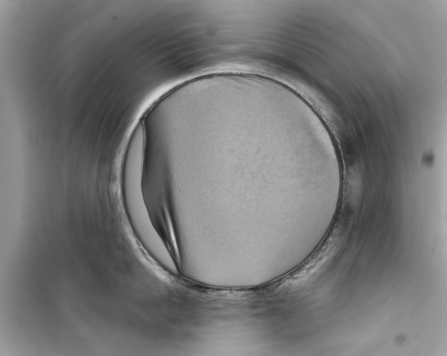 X0000098210862200805221626
