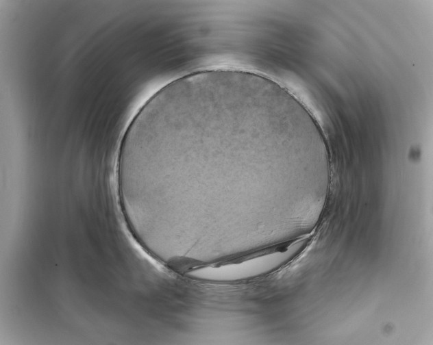 X0000098210863200805221626