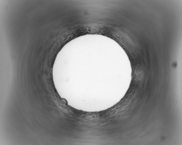 X0000098210865200805221625