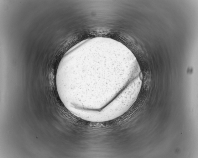 X0000098210866200805221625