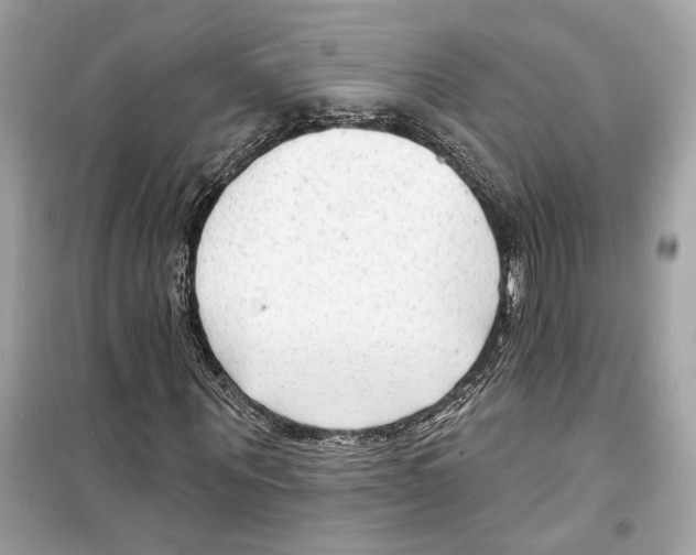X0000098210867200805221625