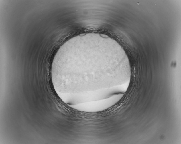 X0000098210868200805221625