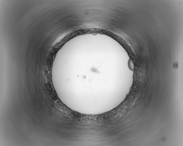 X0000098210871200805221625