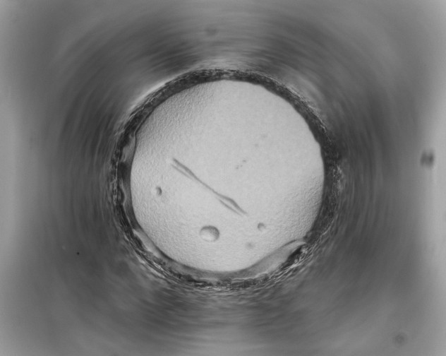 X0000098210872200805221625