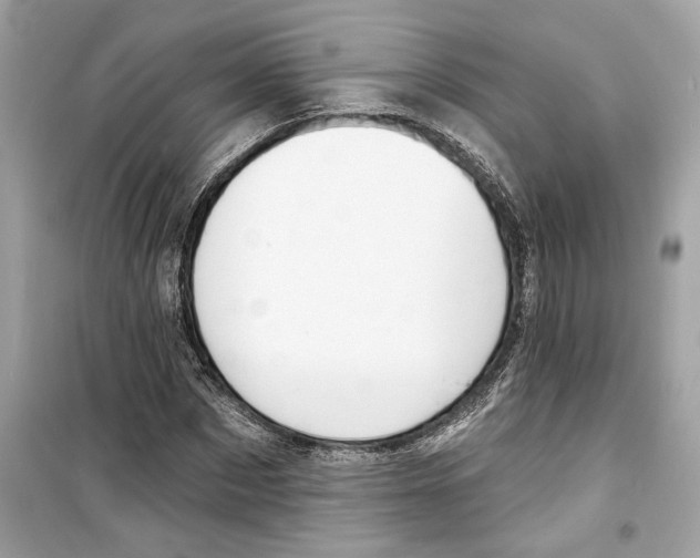 X0000098210873200805221625