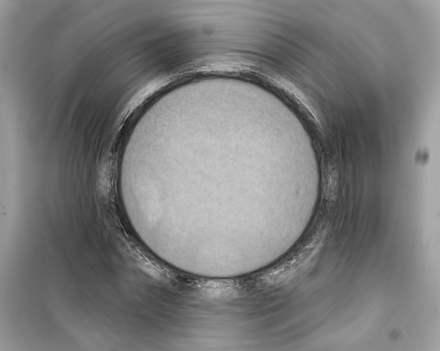 X0000098210874200805221625