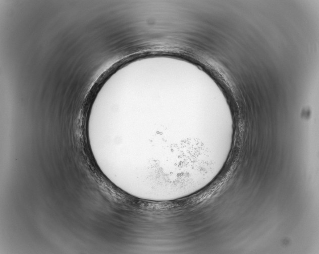 X0000098210875200805221625