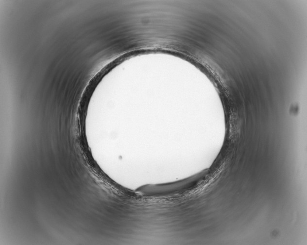 X0000098210876200805221625