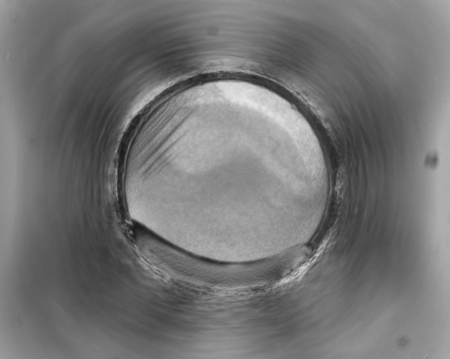 X0000098210877200805221625