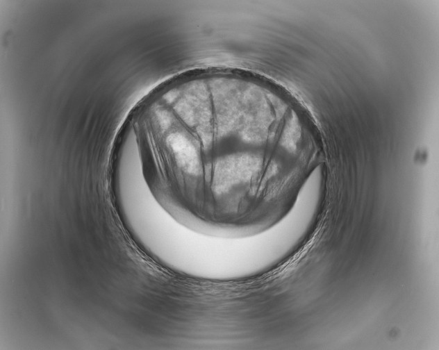 X0000098210879200805221625